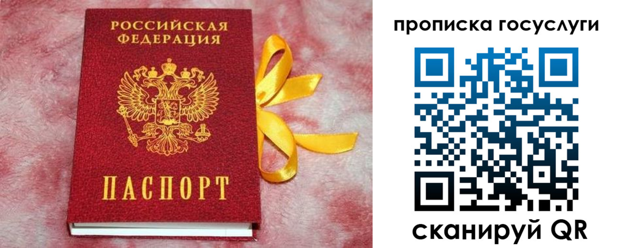 прописка законно в Новочебоксарске
